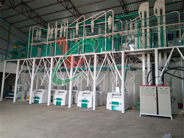 80噸玉米加工設(shè)備